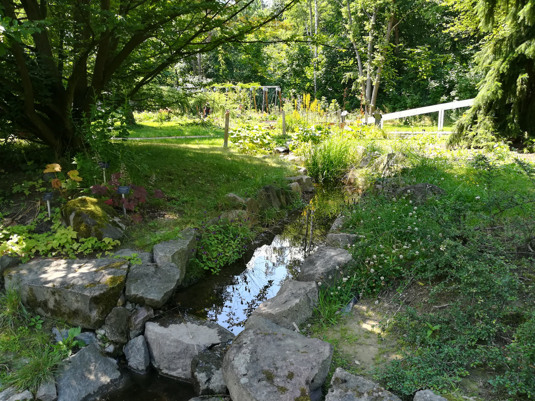 010 - IMG_20190714_131214