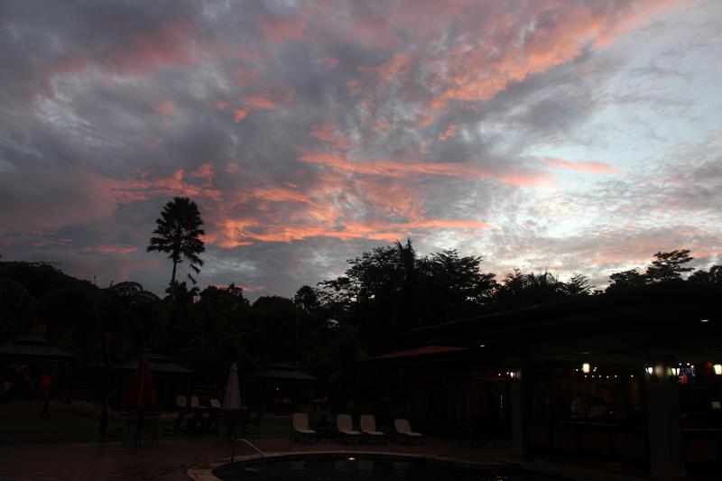 DE TORTUGAS Y PEREZOSOS. COSTA RICA 2019 - Blogs de Costa Rica - DIA 9: CAVERNAS DE VENADO (53)