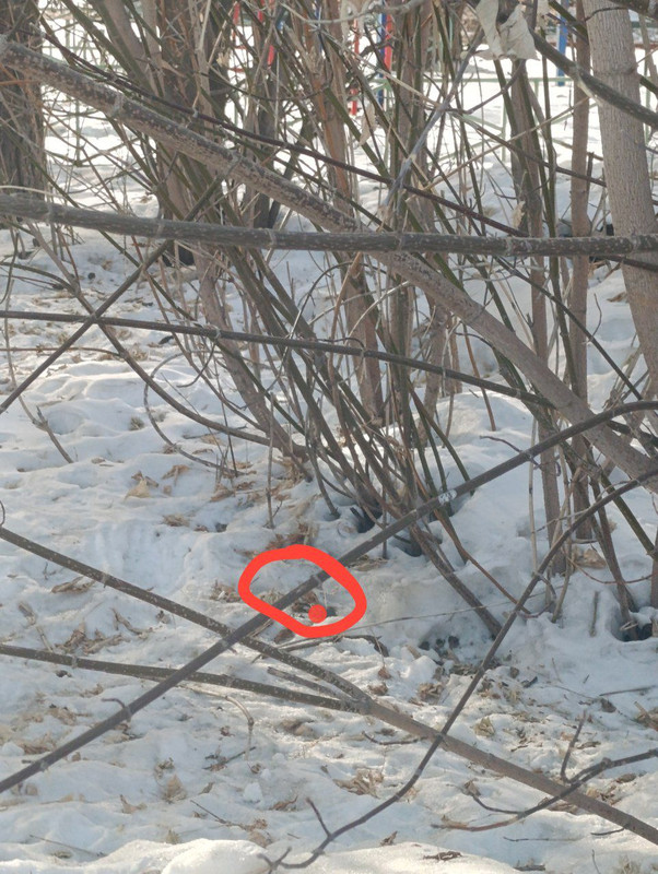 IMG 20260308 174340 841