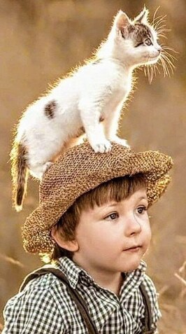 Cat-on-a-Hat-or-Boy