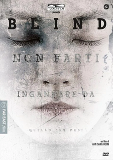 Blind (2011).mkv BDRip 576p x264 AC3 iTA-KOR