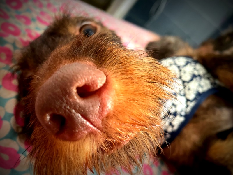 [Image: IMG-1872.jpg]