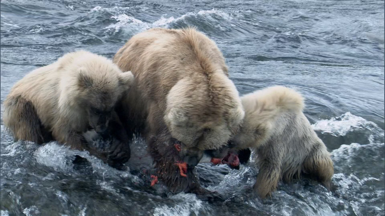 Nature's Great Events (2009) - S01E01 - The Great Melt (1080p Bl
