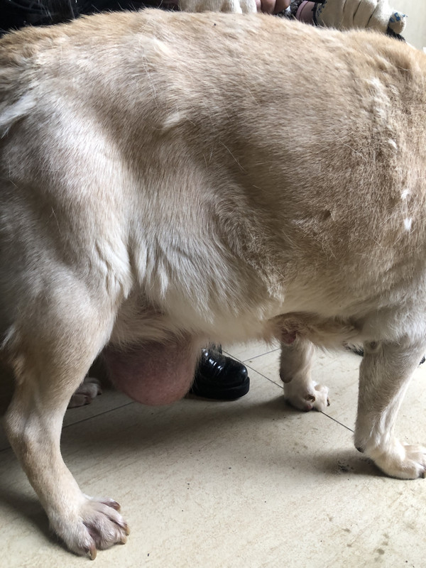 367E3C5C-E6D9-4626-A259-953DC6692A8A