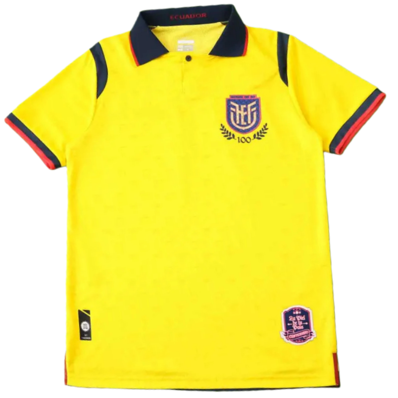 2526 season Ecuador away Fan version