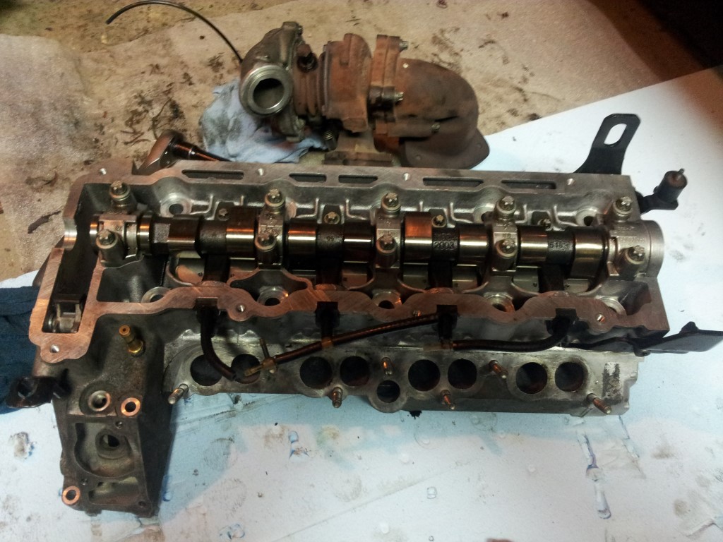 20151225_194347 (Medium)