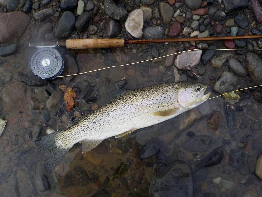 B202C4FA-8E0E-4A14-BDED-91942066BF1F