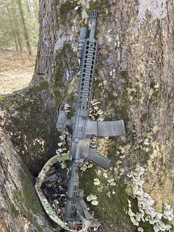 HD rifle pics! > AR Discussions > AR15.COM