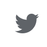 tweet icon