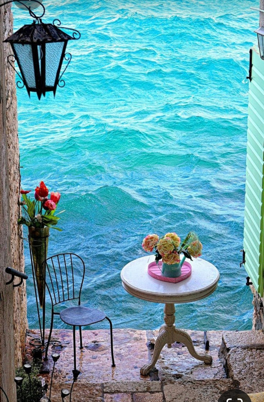 Screenshot_20230514_155739_Pinterest