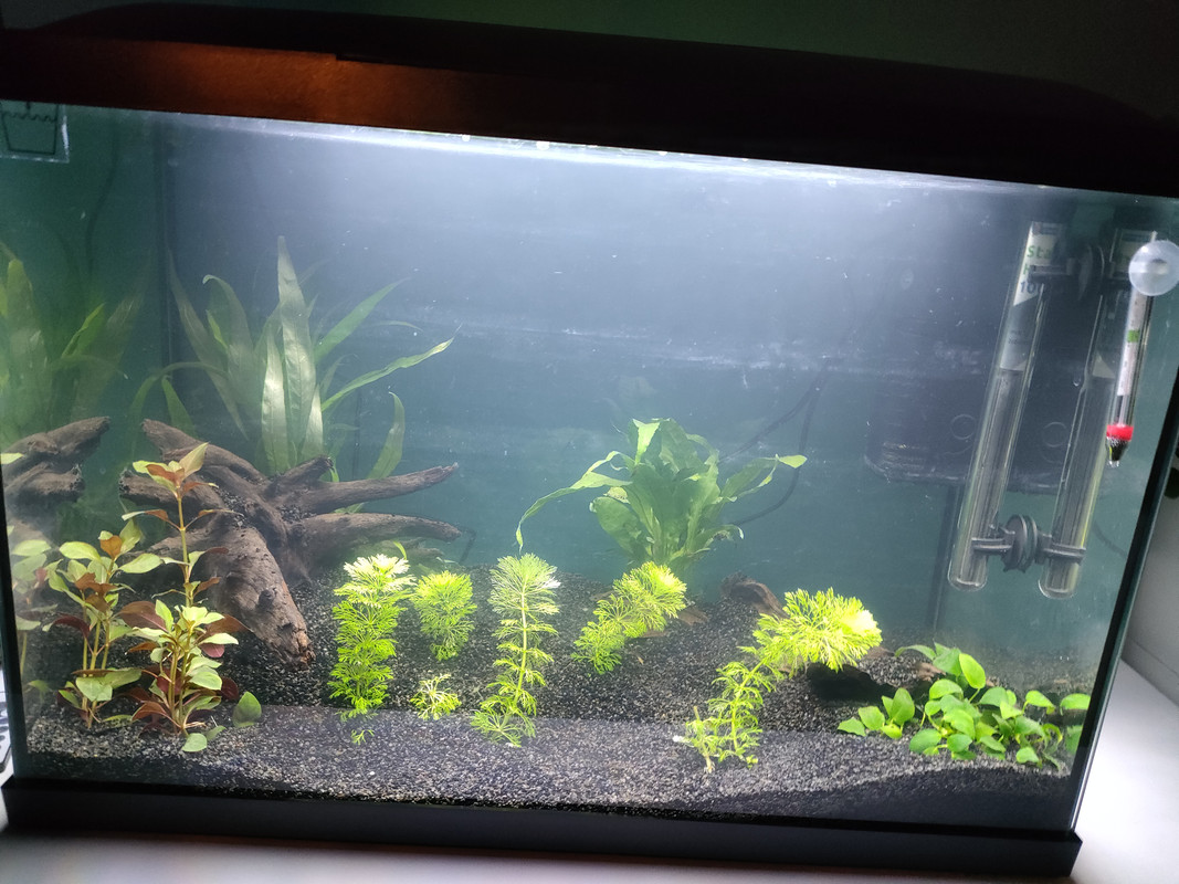 16728184214617080975321584862917