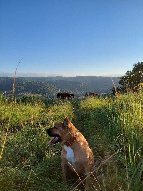 616EF20C-1060-4C30-80FF-A917AF1E90B0