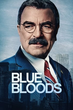 Blue Bloods S14E04 Past Is Present 1080p WEBRip 10Bit DDP5 1 H265-d3g