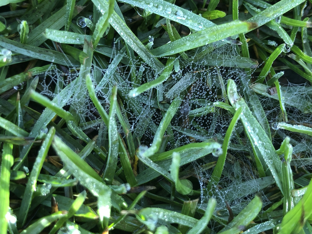 7F2B2AF3-ADF4-4B73-BD57-A603542F35B7