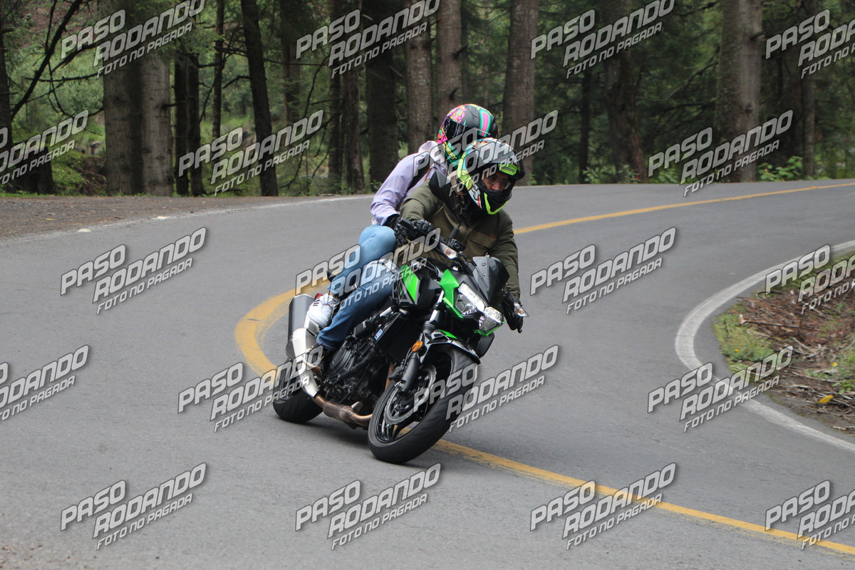 IMG 8386 wm 2111387 6 watermarked — Postimages
