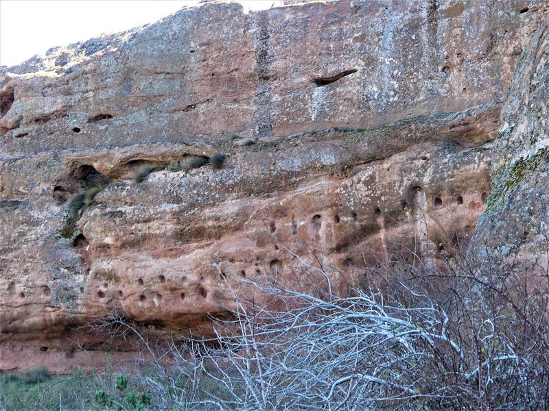 YACIMIENTO ARQUEOLOGICO DE TIERMES-16-2-2020 - Soria y sus pueblos-2010/2013/2020 (73)