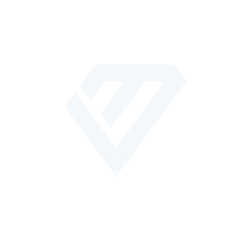 Visionary Media Logo