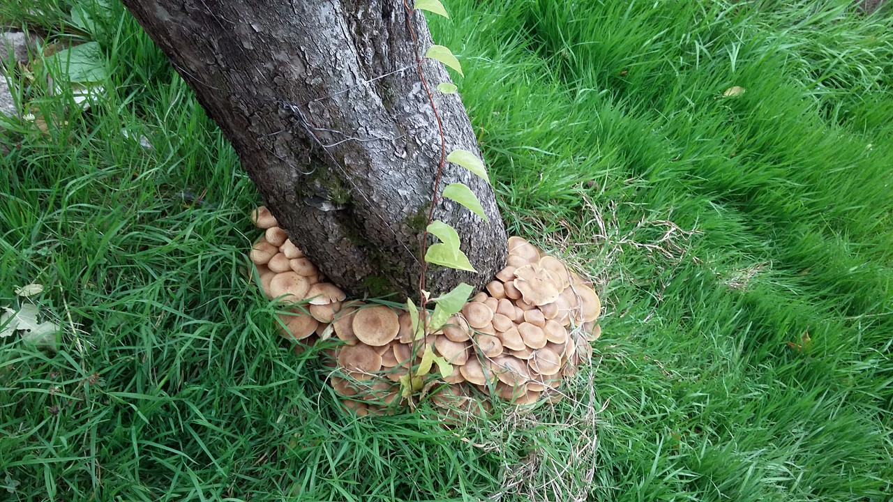 2B87BA1B-DAAD-48A7-A012-66CBA56E824C