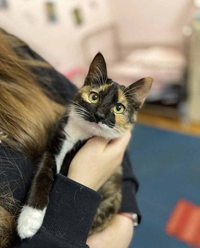 170D13F4-1F71-429E-AB9B-3250AD5B391C