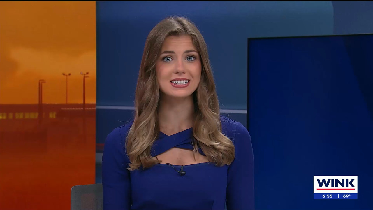 03.16 - 10.00.01 - WINK NEWS at 6 00am Saturday. Saturday morning new....ts_snapshot_00.58.38.950
