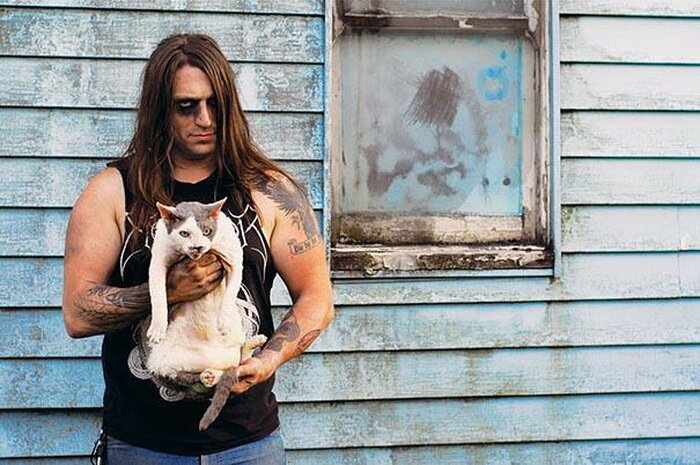 3-metal-cats-1