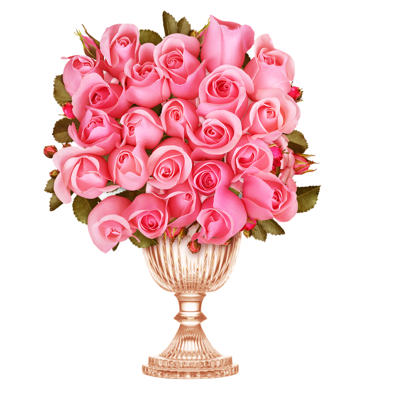 BIBI-PINK ANGEL ELEMS (29)