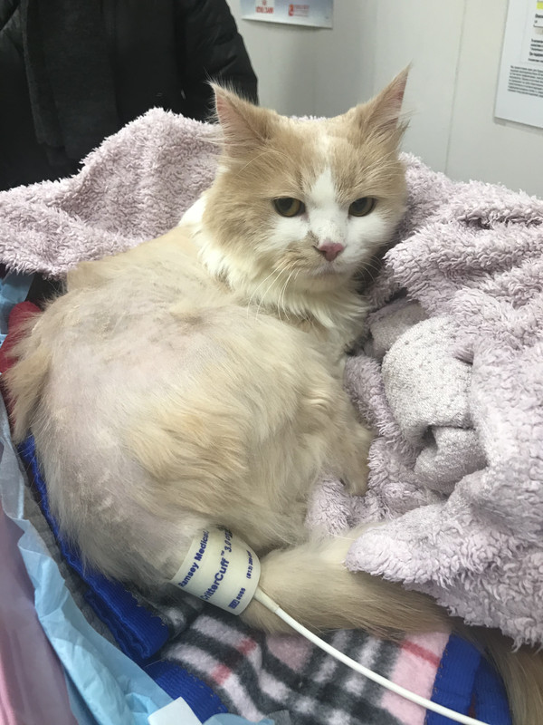 5CF04BF2-C286-4C30-A9B9-4F4184389CFC