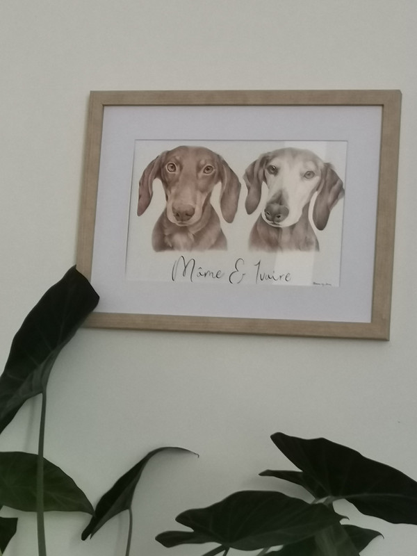 [Image: IMG-20231003-175420.jpg]