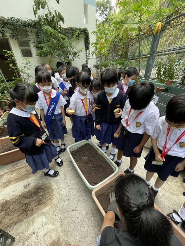 photo-littlefarmer2223-1B-005