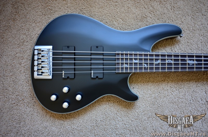Schecter_Damien_Platinum_5_1st_002