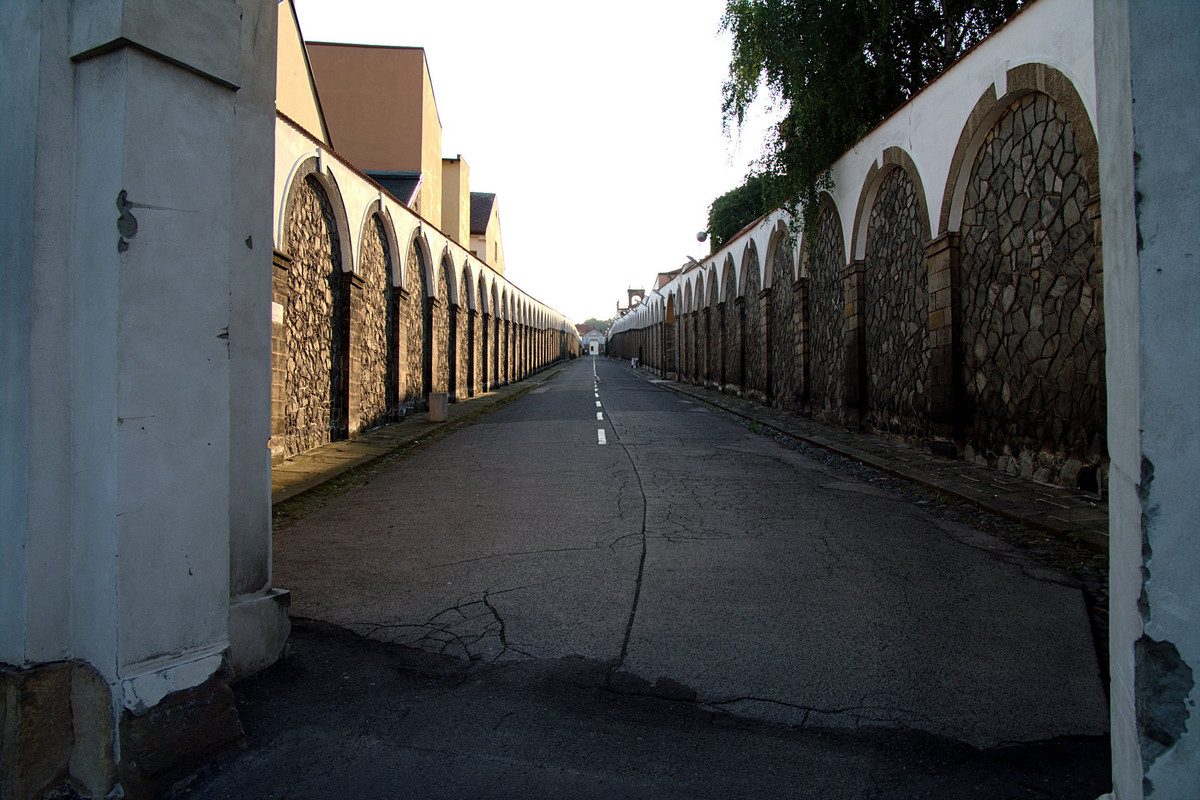 Obrázek