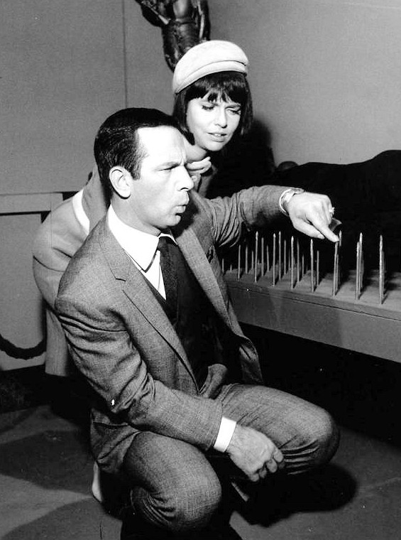 Barbara_Feldon_a67