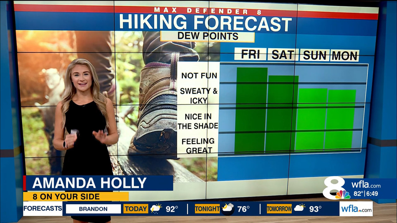 NewsChannel 8 Today at 6a_20230901_11001200.ts_snapshot_00.50.44.623