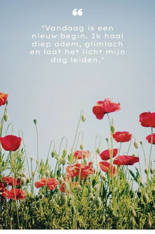 dinsdag