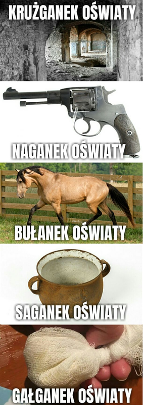 Oświata