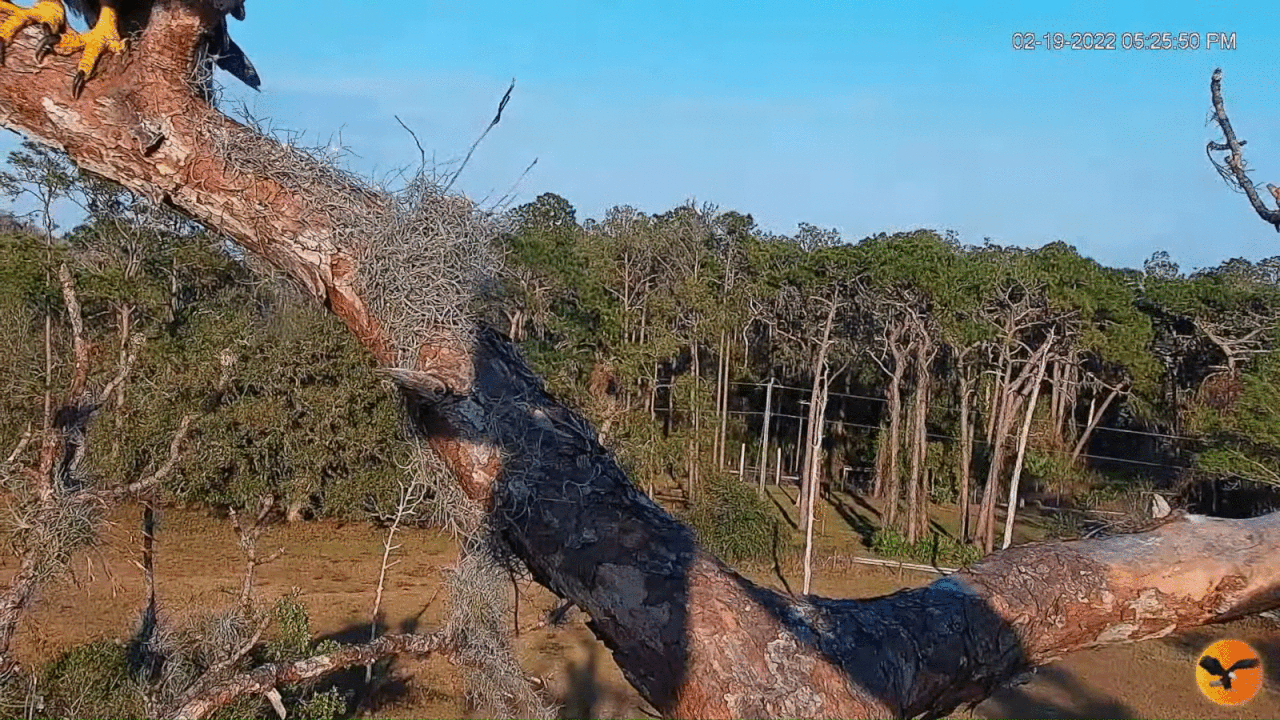 Webp.net-gifmaker (6)