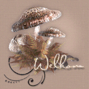 WELKOM-189