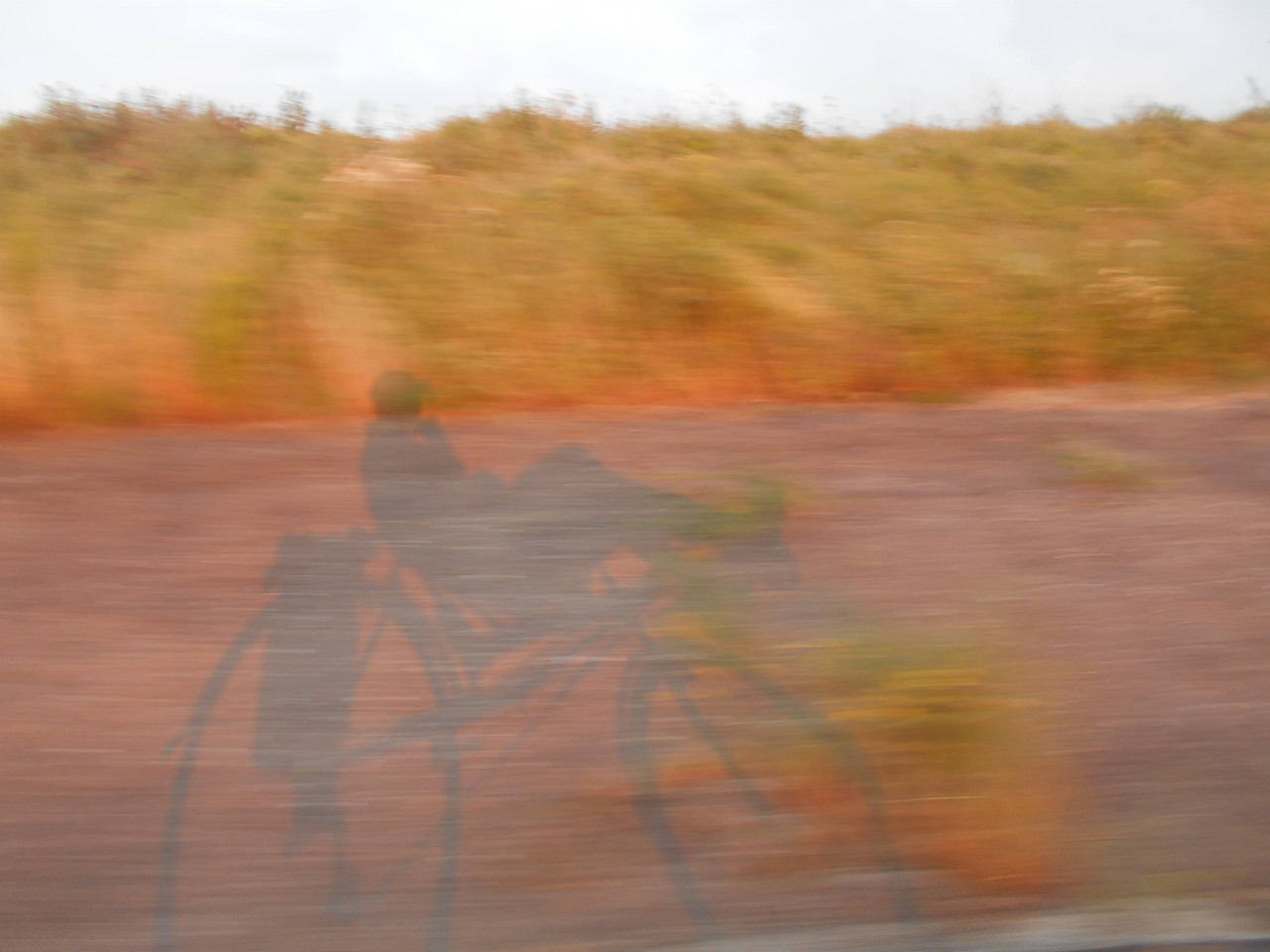 [Afbeelding: DSCN0750.jpg]