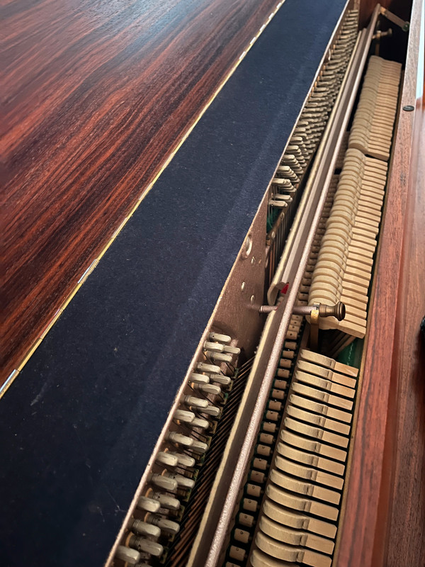 54c1077f-60b8-11ef-8ae6-e98bef4b1cb6