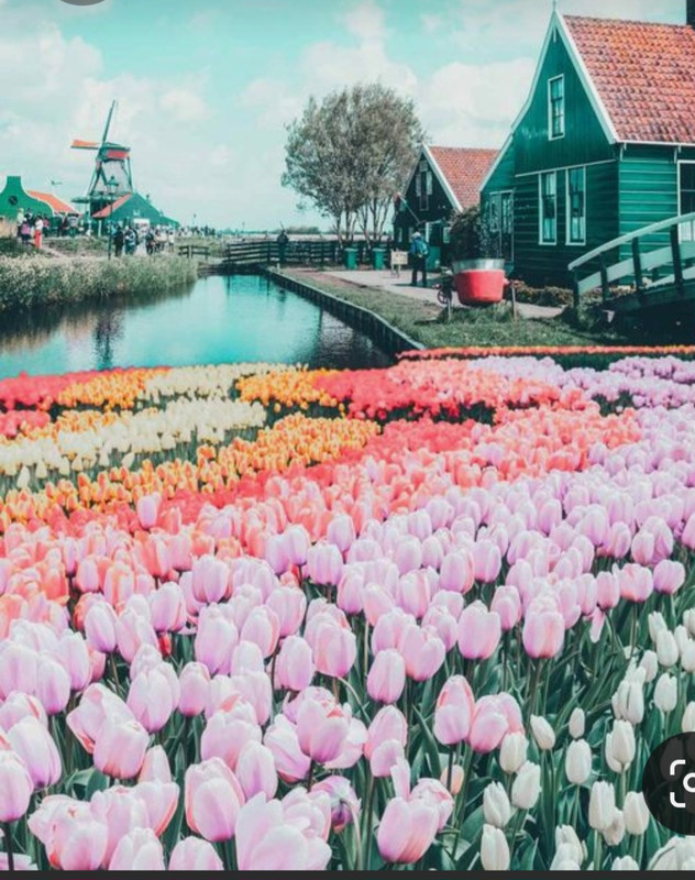 Screenshot_20230321_232610_Pinterest