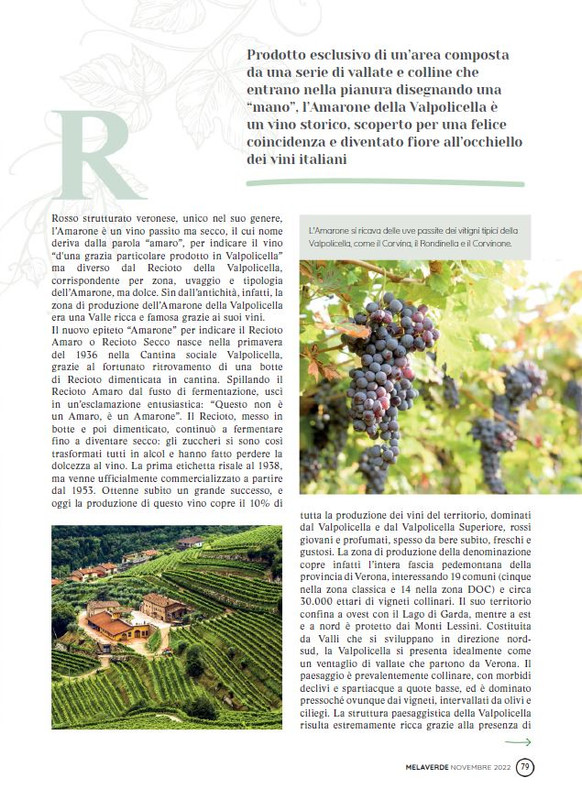 melaverde Nov 2022 (12)