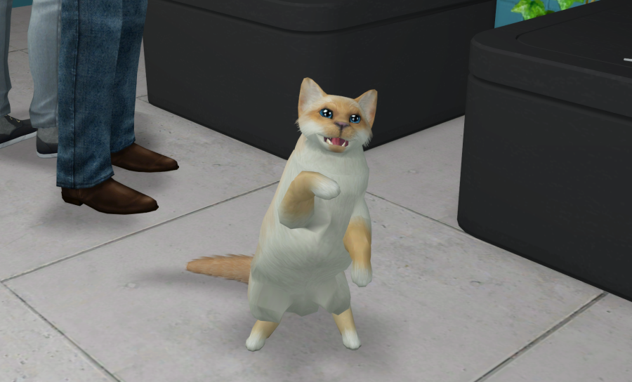 Sims2-EP9-RPC-2021-04-04-14-56-26-81