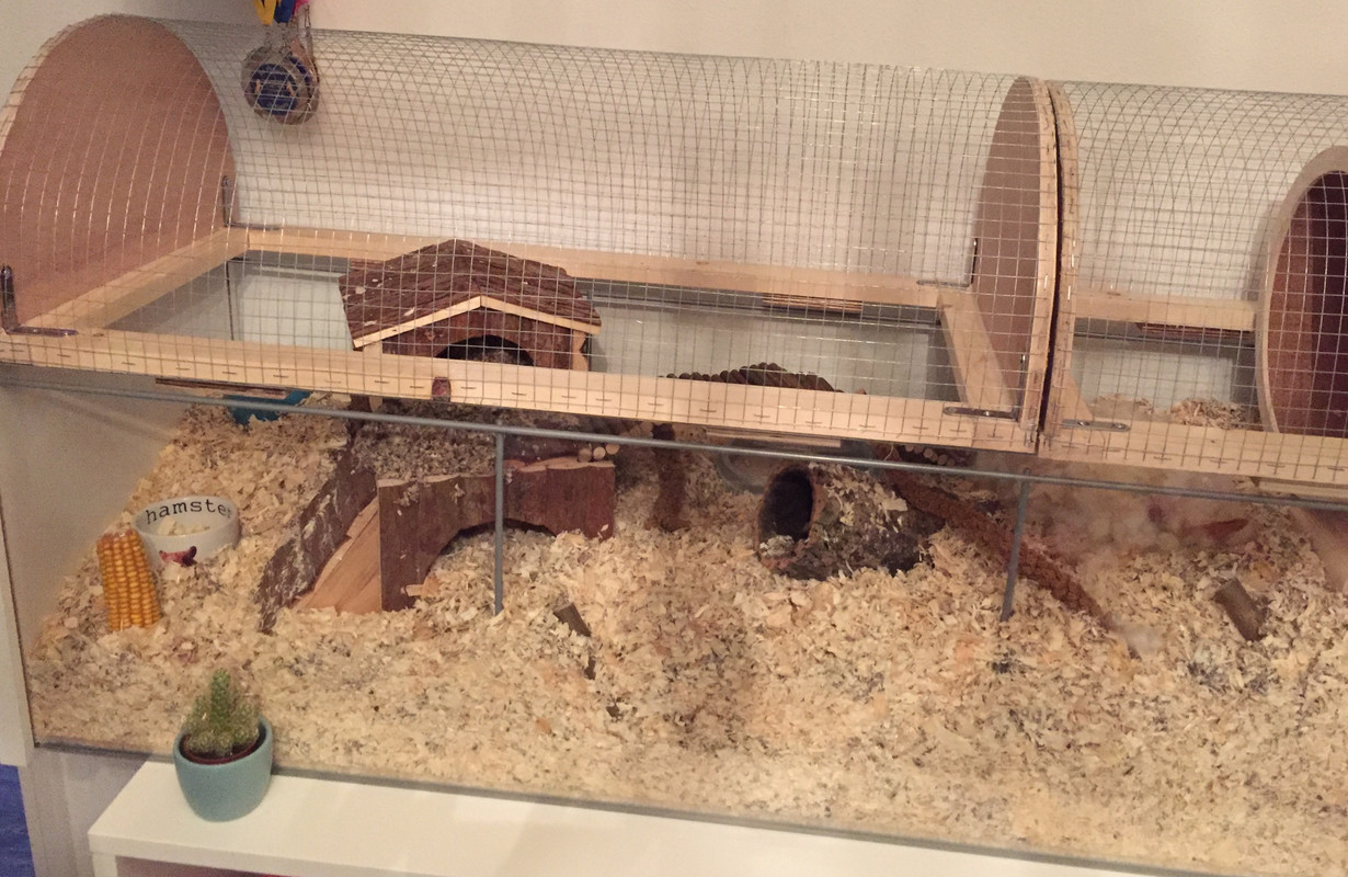 FC920B21-6CCC-4D77-AB3B-7F73B3229E19