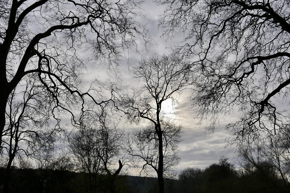 5A5F4E9D-7B4B-4FD3-ACE0-C3DF64357266