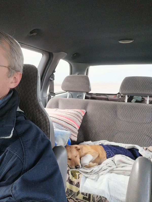 едет в стац1