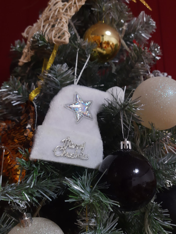 IMG_20221207_105238750