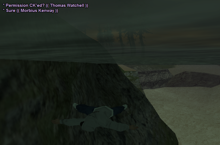 ss-13.png