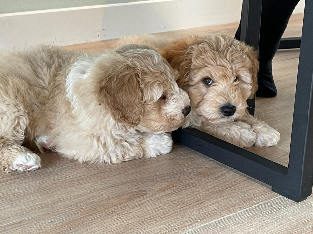 3BB09995-D0CA-4261-BDA8-6B224A5980B6