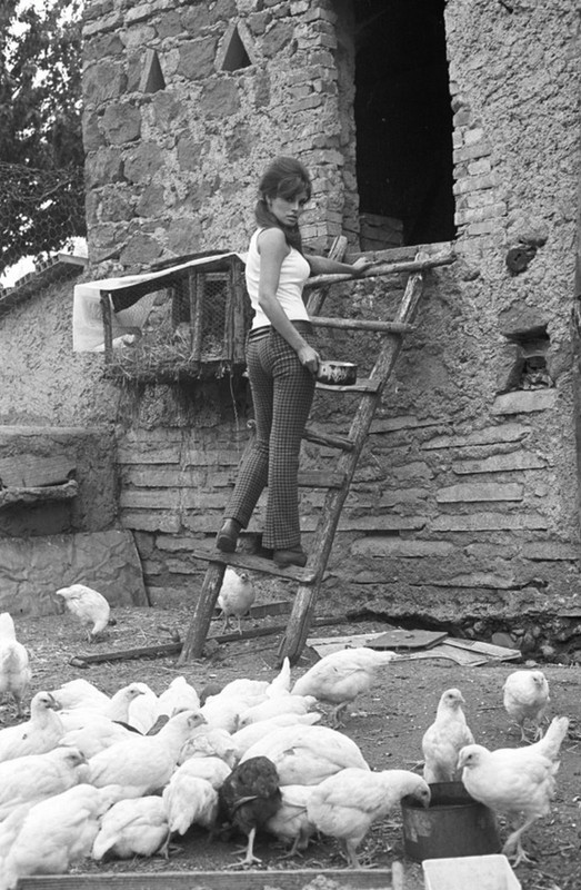 raquel_welch_f79