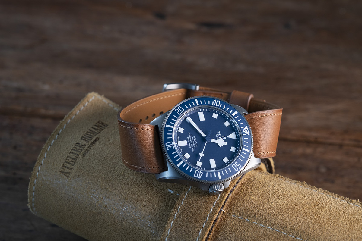 Tudor Pelagos FXD Marine Nationale - Page 38 DSCF6693